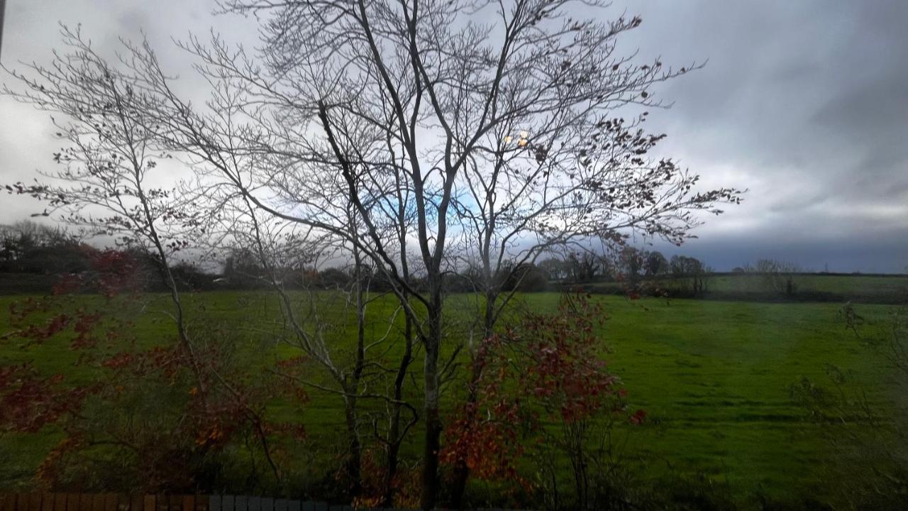 Lisnevenagh Cottage Ballymena Esterno foto