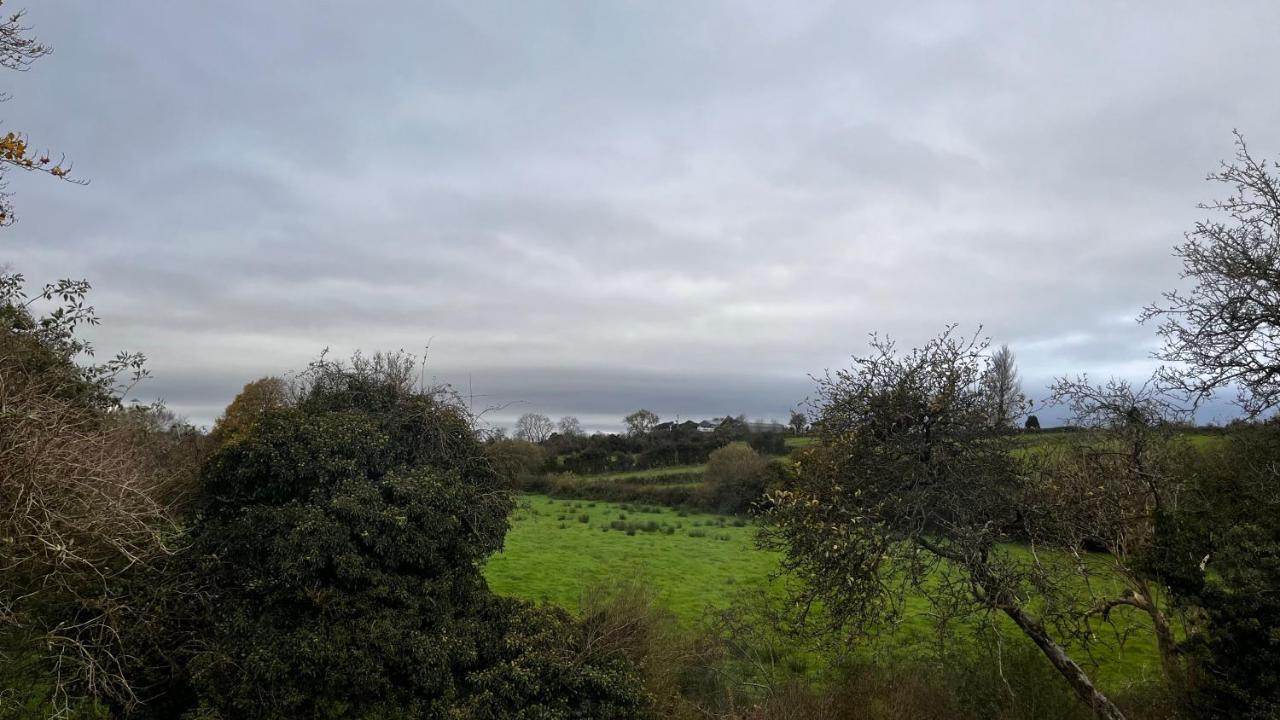 Lisnevenagh Cottage Ballymena Esterno foto